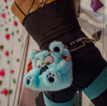 Y&Y Bear